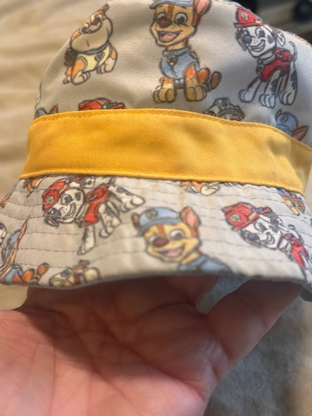 Nickelodeon Paw Patrol Pet Hat in Light Gray with Yellow Band